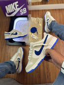 Nike Dunk Low Pro Premium